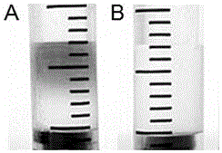 Simple and low-cost silver ion visual quantitative detection method