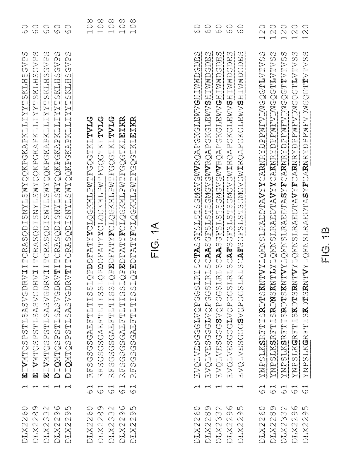 Antibodies against IL-1 beta