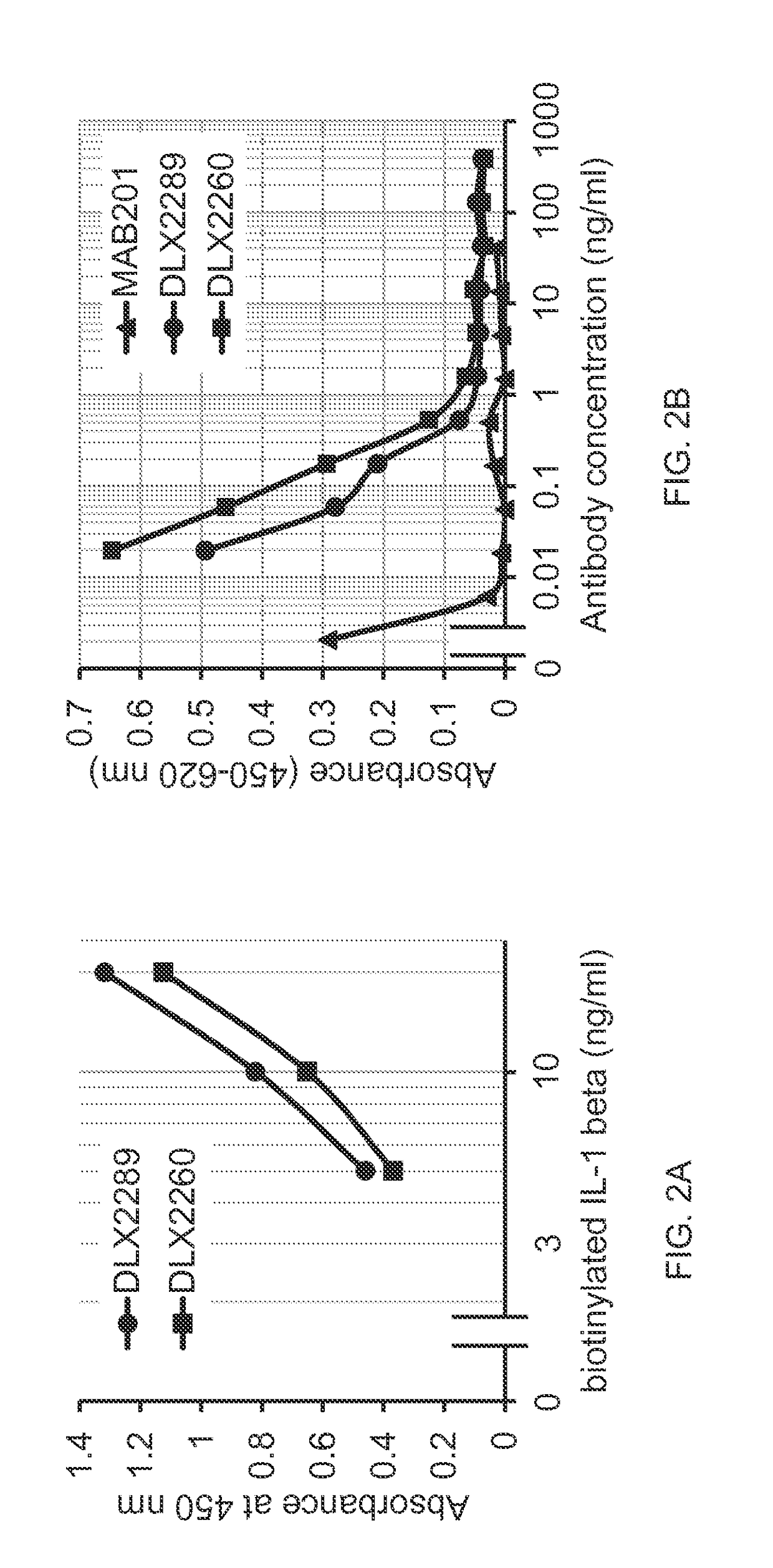 Antibodies against IL-1 beta