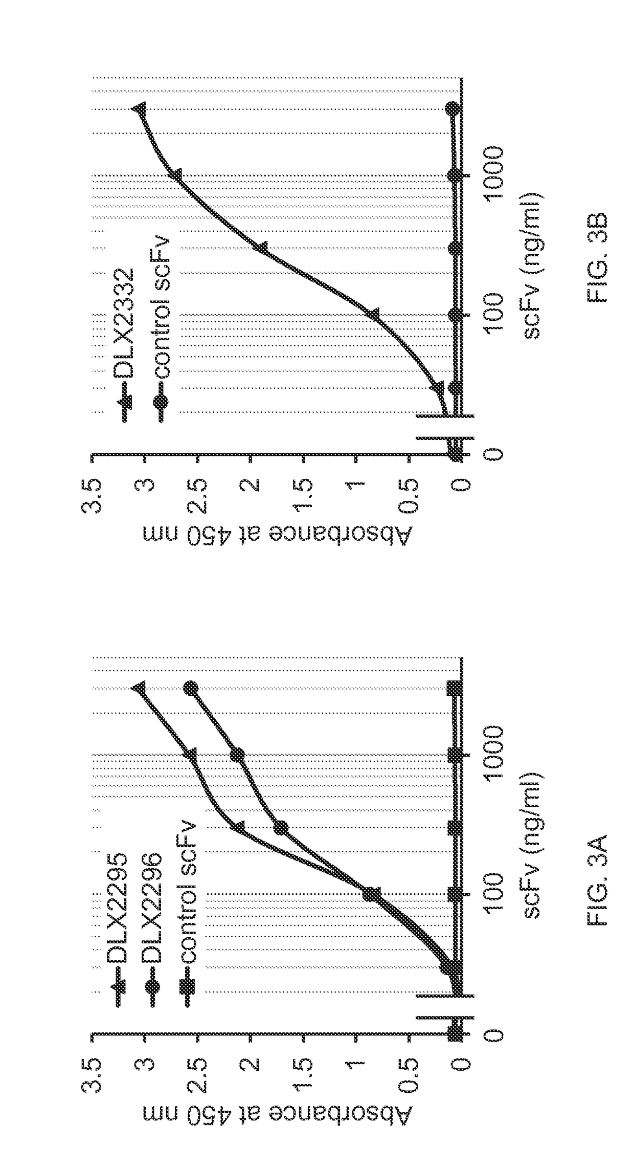 Antibodies against IL-1 beta