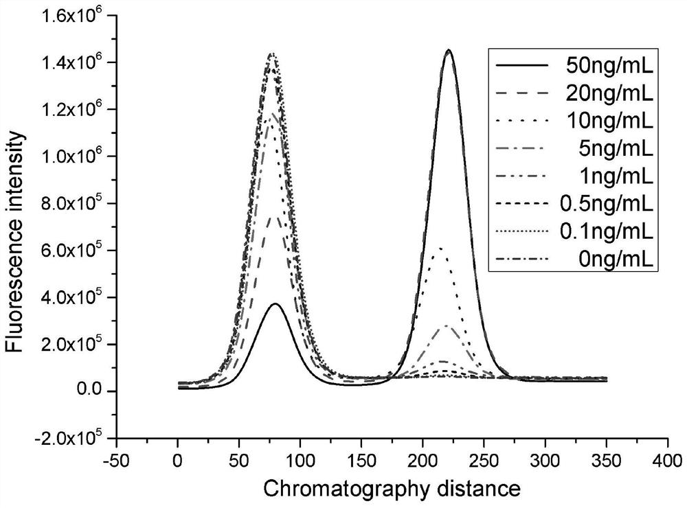 ck-mb fusion protein and its preparation method and detection kit