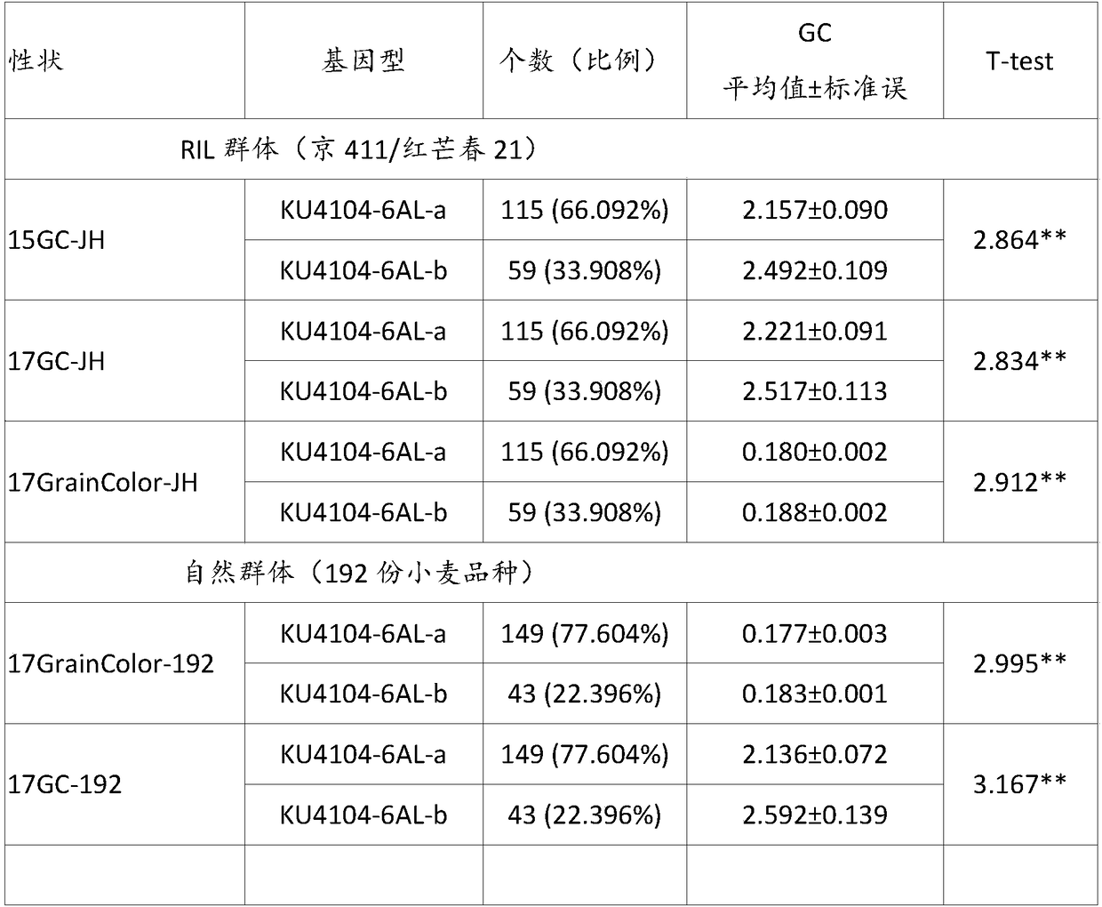 Wheat grain color related CAPS marker and detection method thereof