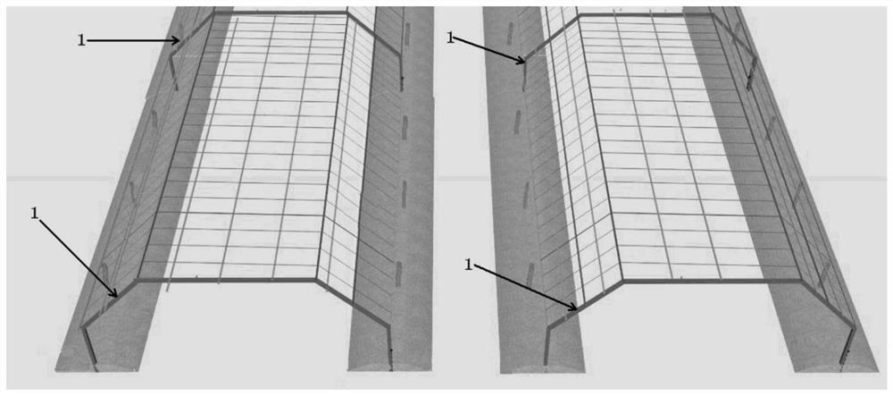 Kiwi fruit double-row trapezoidal trellis cultivation method