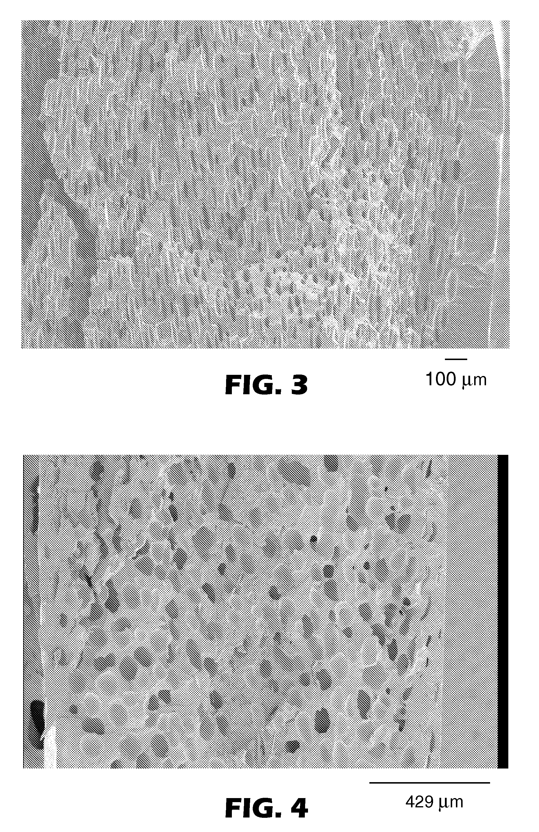 Ink-receptive foam article