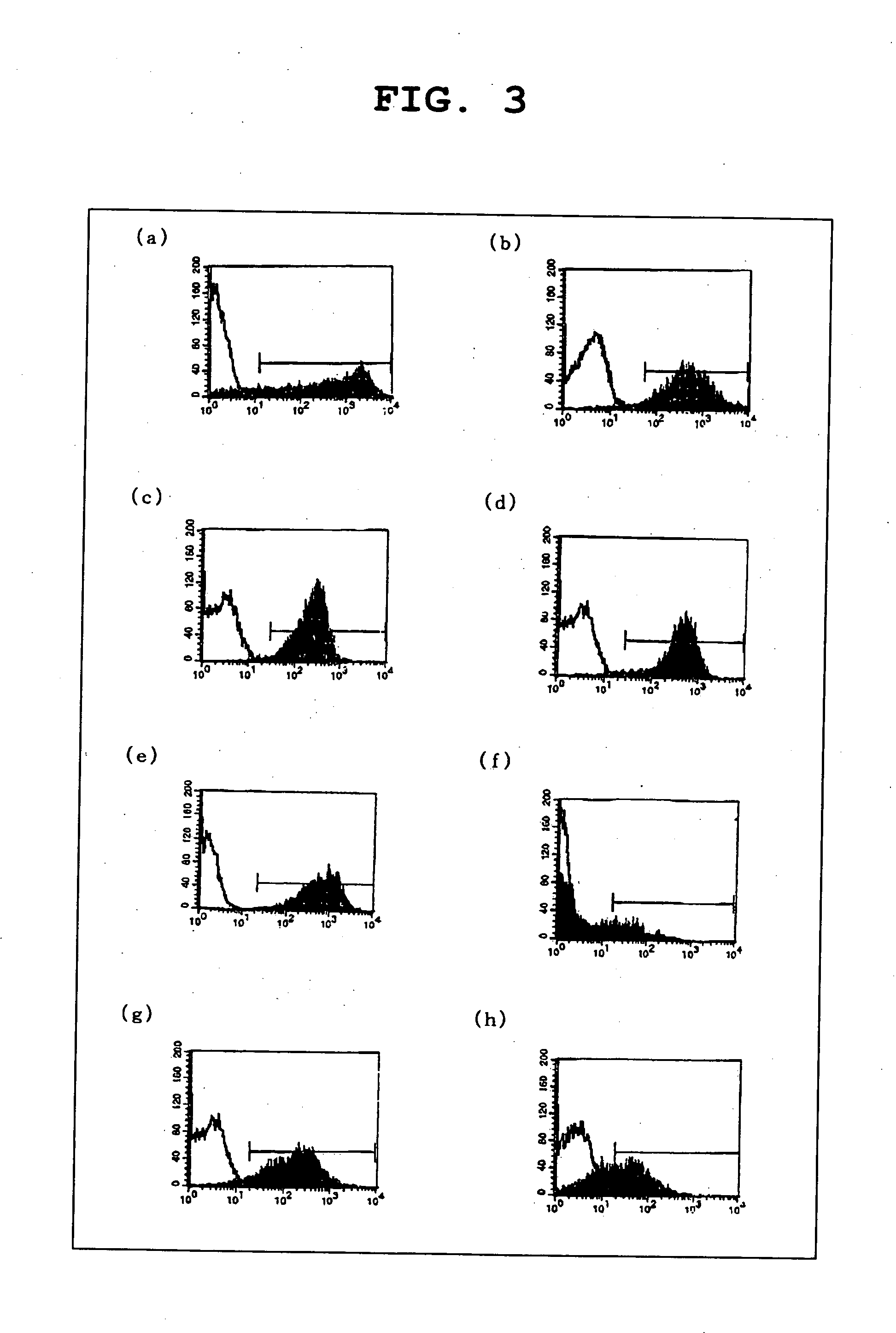 Process For Producing Multipotential Stem Cell Origination In Testoid Cell