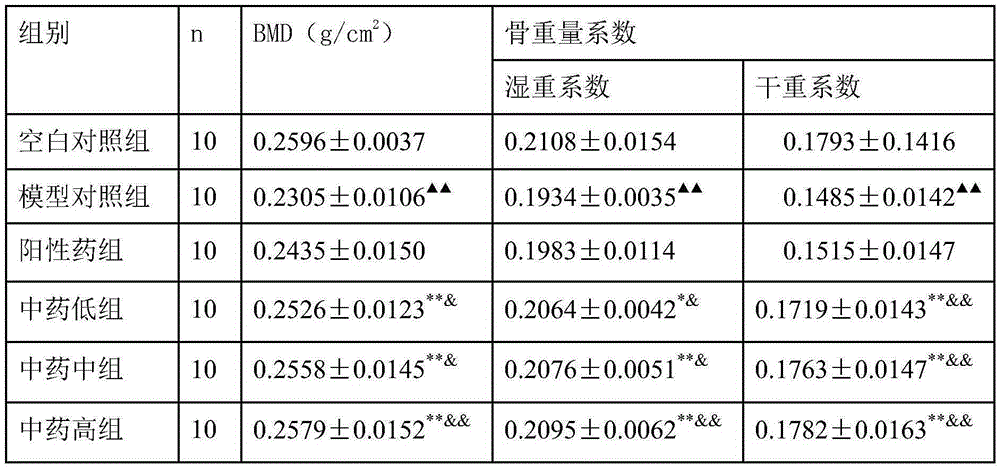 Medicine composition for treating osteoporosis and preparation method thereof