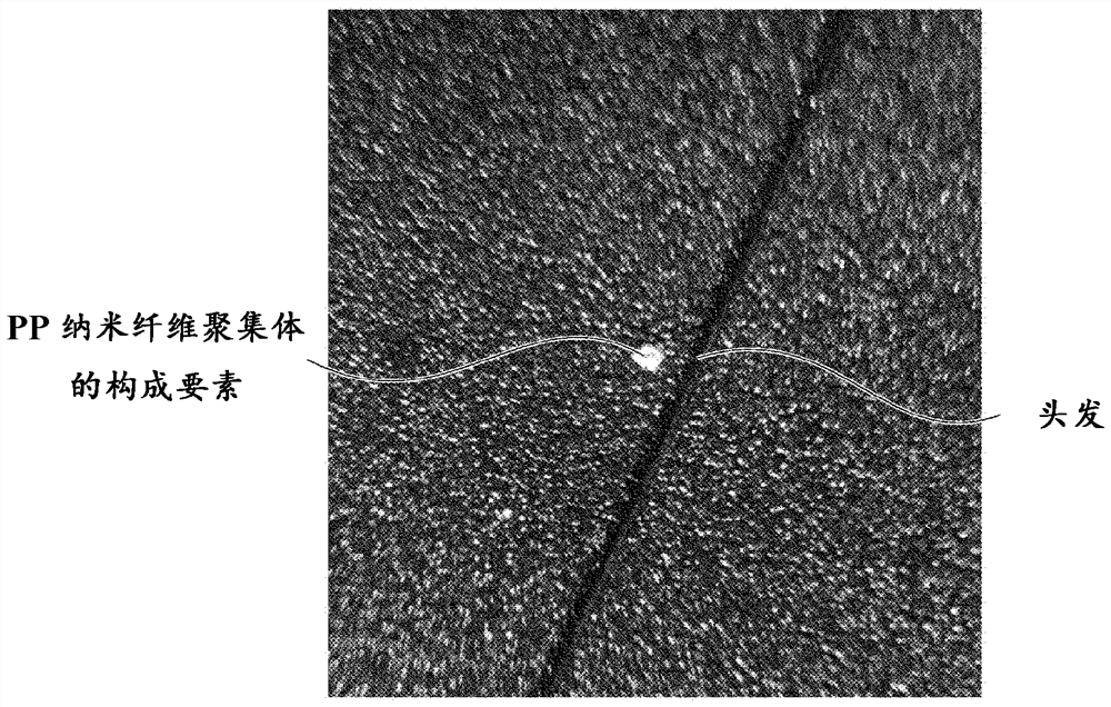 Bactericidal polymer nanofiber aggregate and dry toilet paper using the same