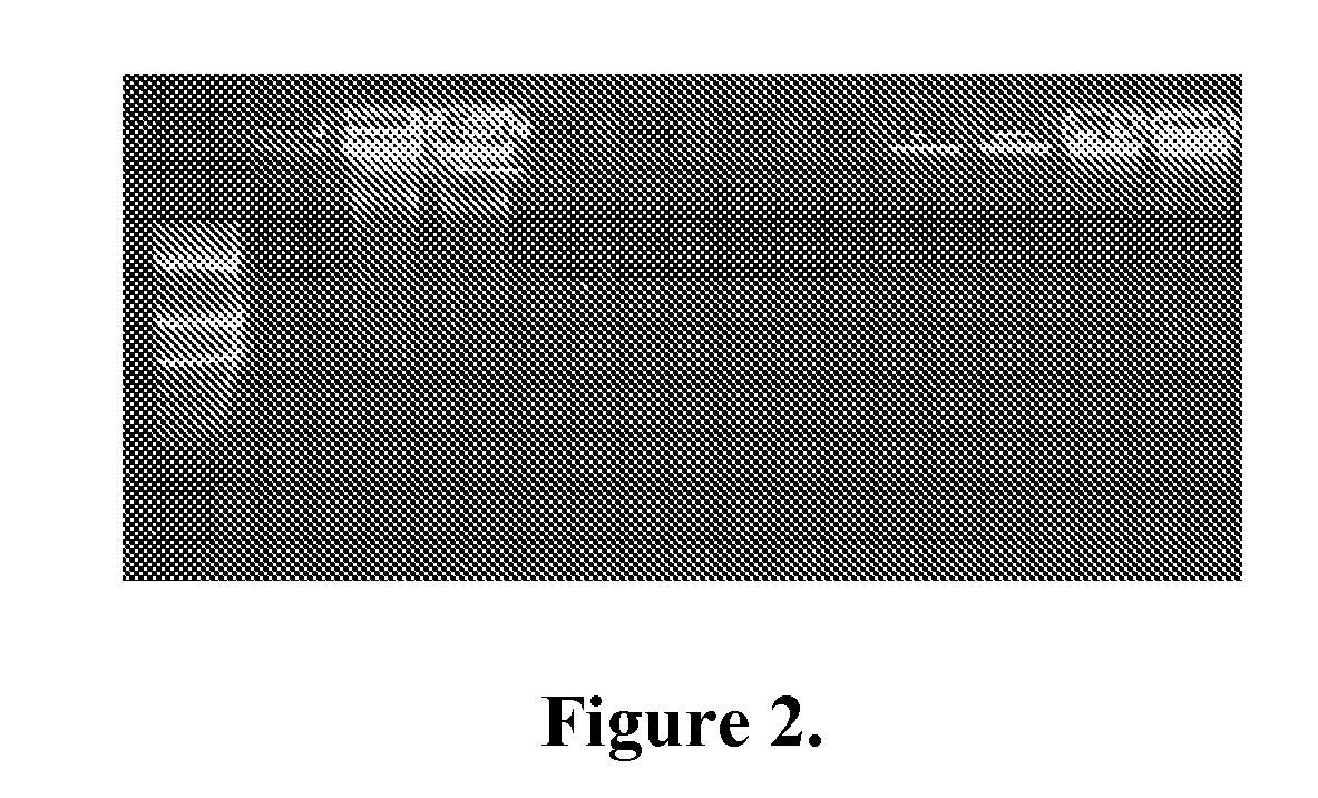 Nucleic acid amplification