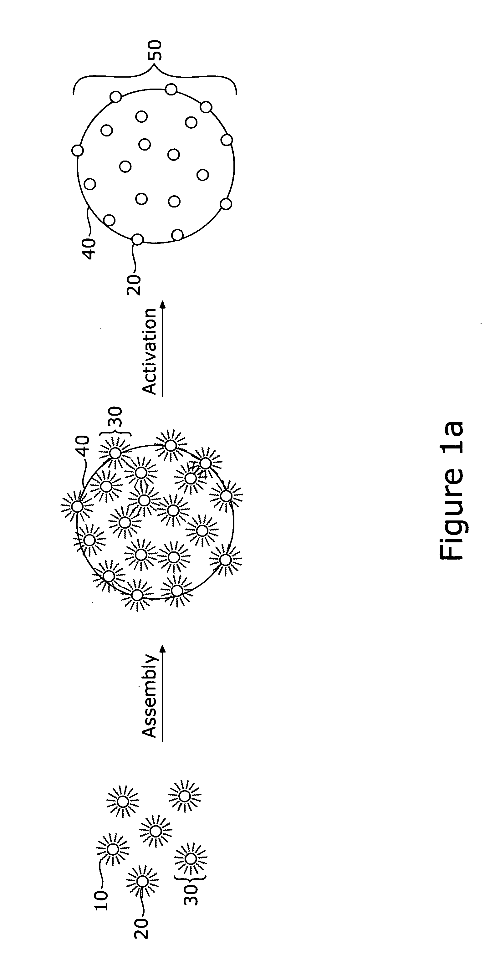 Gold-based alloy nanoparticles for use in fuel cell catalysts