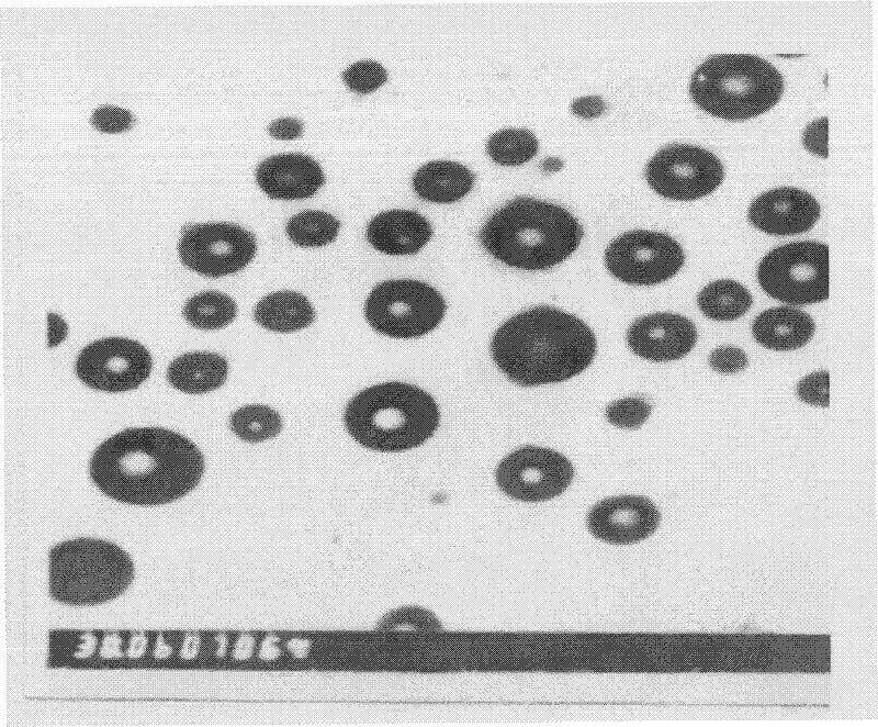 Supersaturated self-microemulsified administration system for insoluble anti-tumor drugs, and preparation method thereof