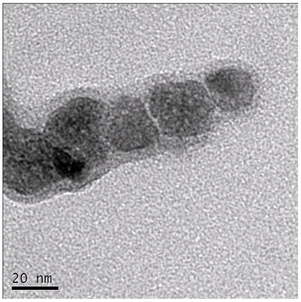 Targeting polypeptide-fluorescent magnetic nanometer complex, preparation method and applications thereof