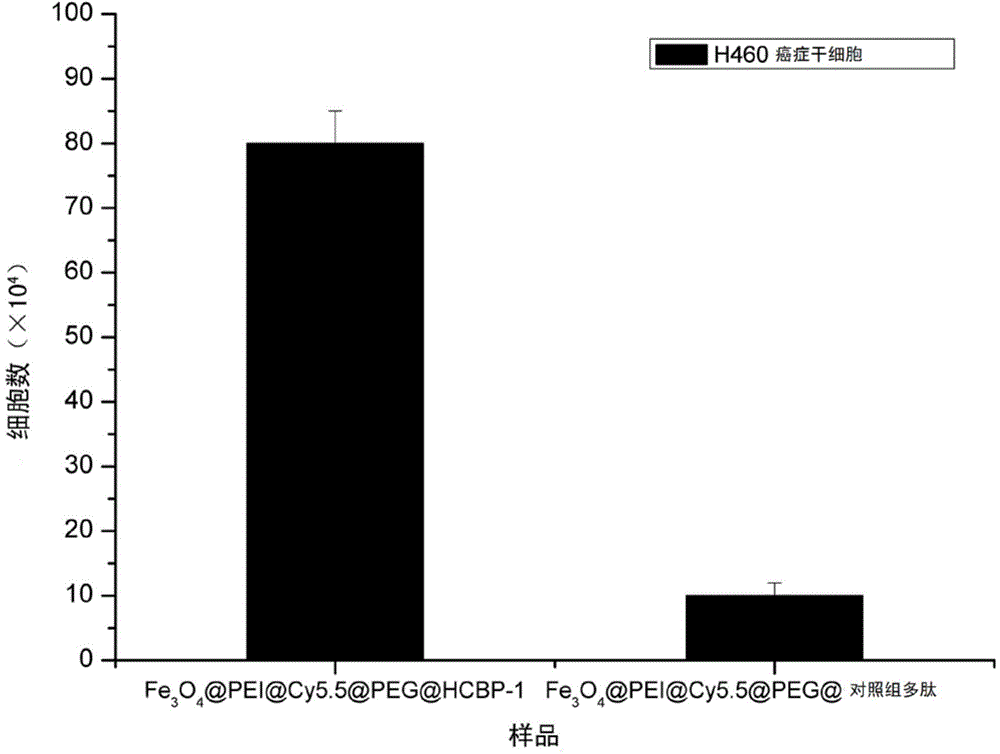 Targeting polypeptide-fluorescent magnetic nanometer complex, preparation method and applications thereof