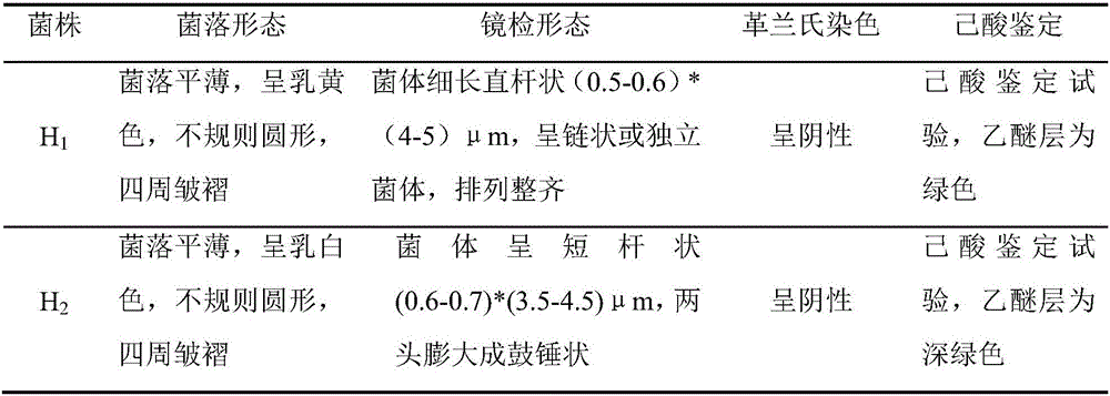 Wine making multi-bacteria functional bacterial liquid, and production method and application thereof