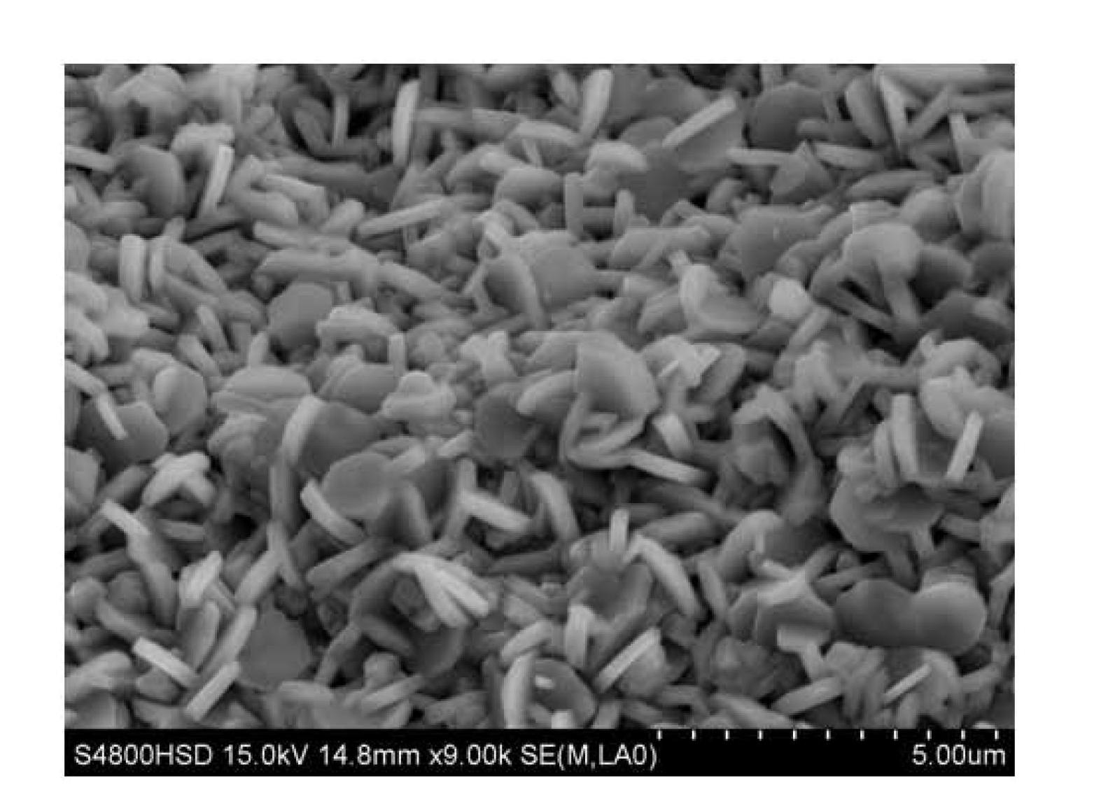 Preparation method for ZnO/ZnS heterostructure nanocone array