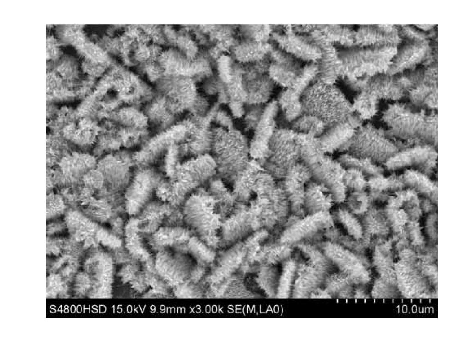 Preparation method for ZnO/ZnS heterostructure nanocone array