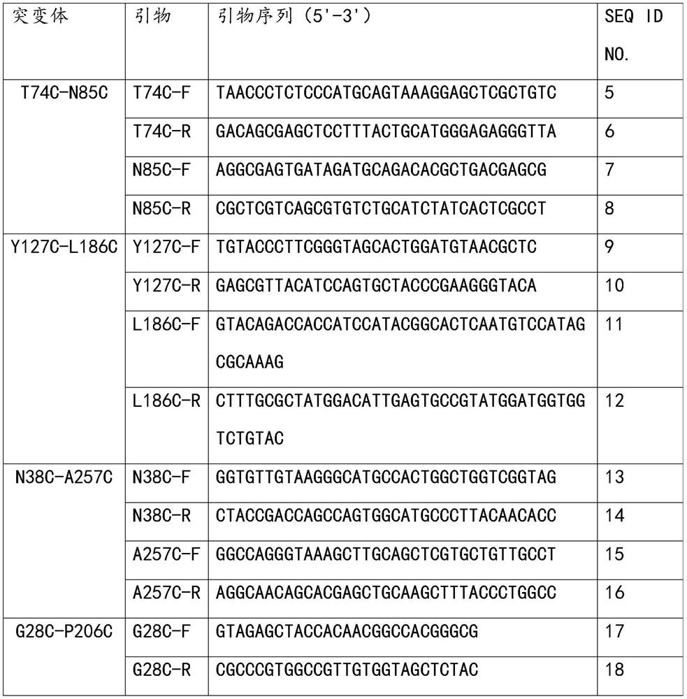 Glyceride lipase mutant G28C-P206C as well as coding gene and application thereof