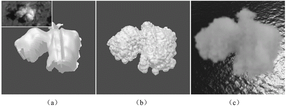 Method for modeling cumulus cloud scene based on Landsat8 satellite image