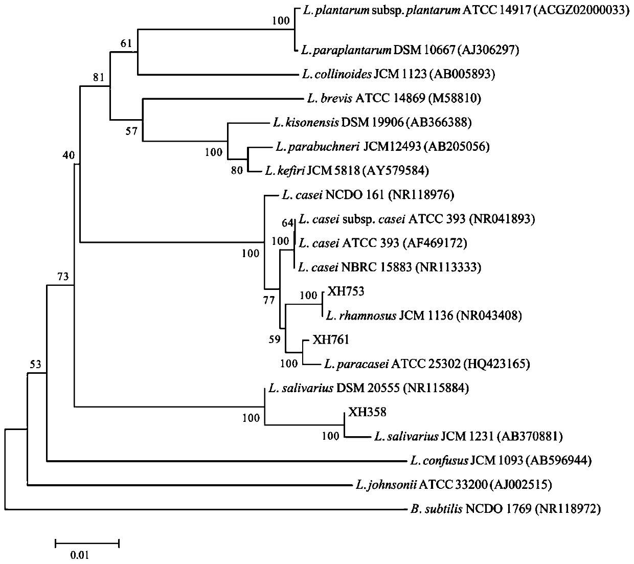 Lactobacillus paracasei 761, application of Lactobacillus paracasei 761, silage additive and silage