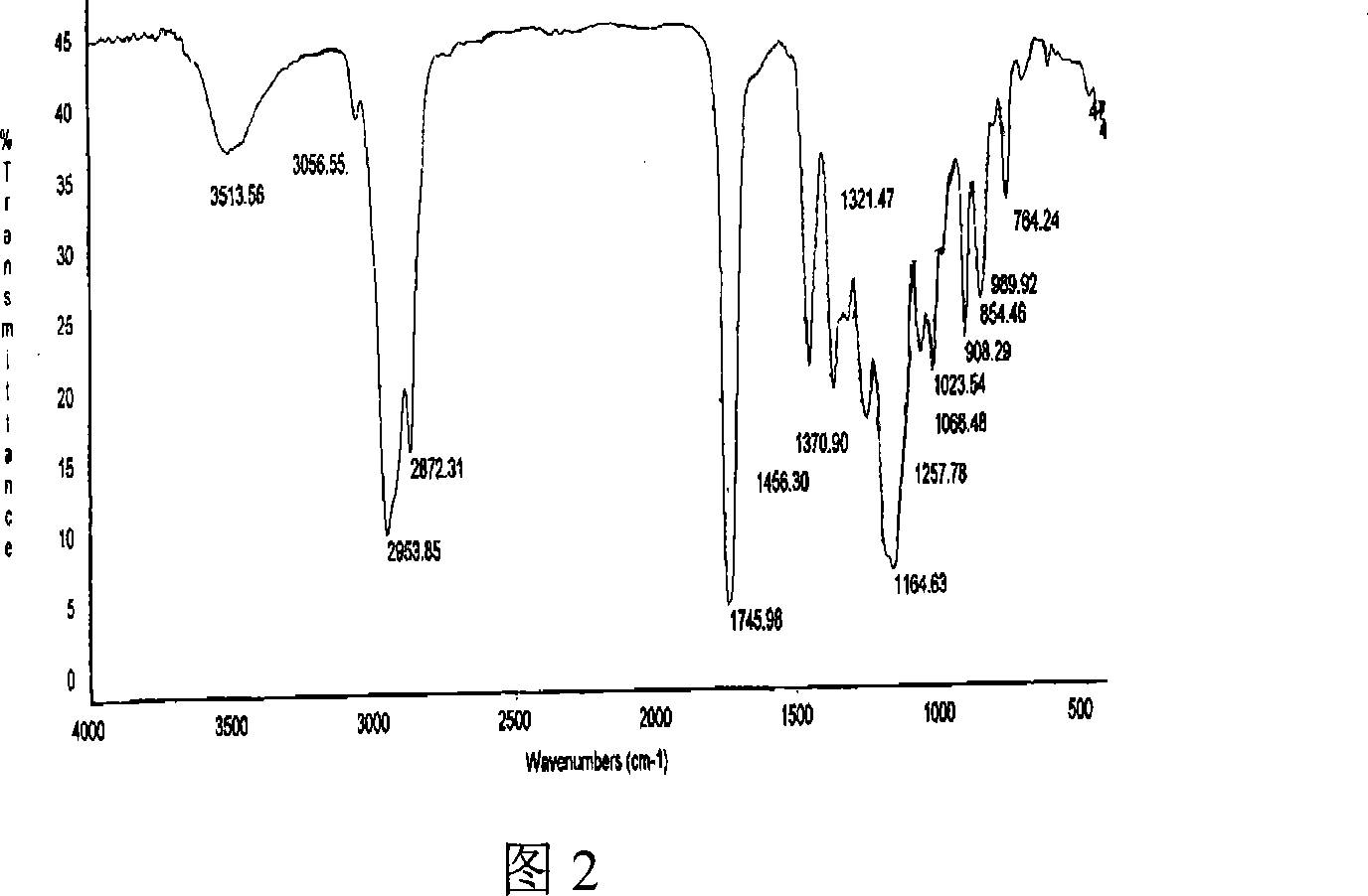 Method of preparing hydrogenated terpinene maleic anhydride glycidyl ester type epoxy resin