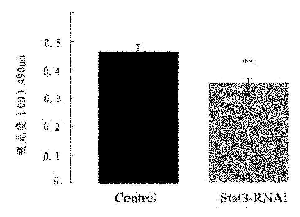 Micro-molecular interference ribonucleic acid (RNA) for inhibiting glioma proliferation and promoting glioma apoptosis as well as preparation method and application thereof