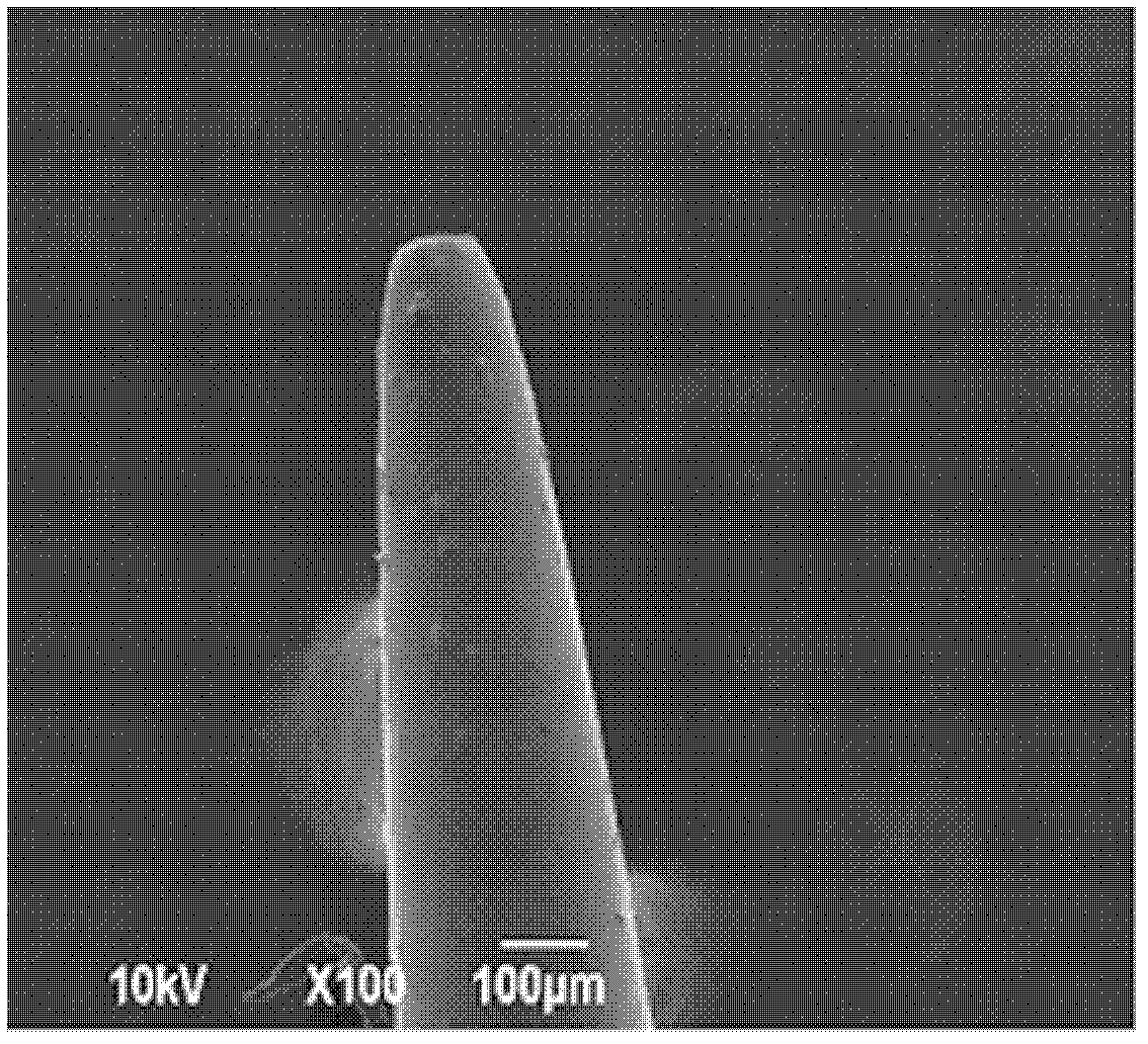 Mass spectrometric nano-spray electrode, manufacturing method and application thereof