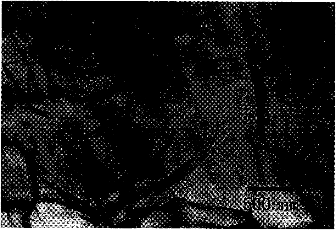 Method for preparing graphene