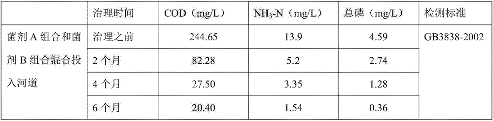 Composite microbial agent and preparation method and application thereof, and treating method for black and odorous river