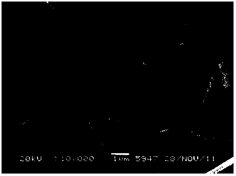 Method for preparing rod-like magnesium hydroxide from salt lake brine