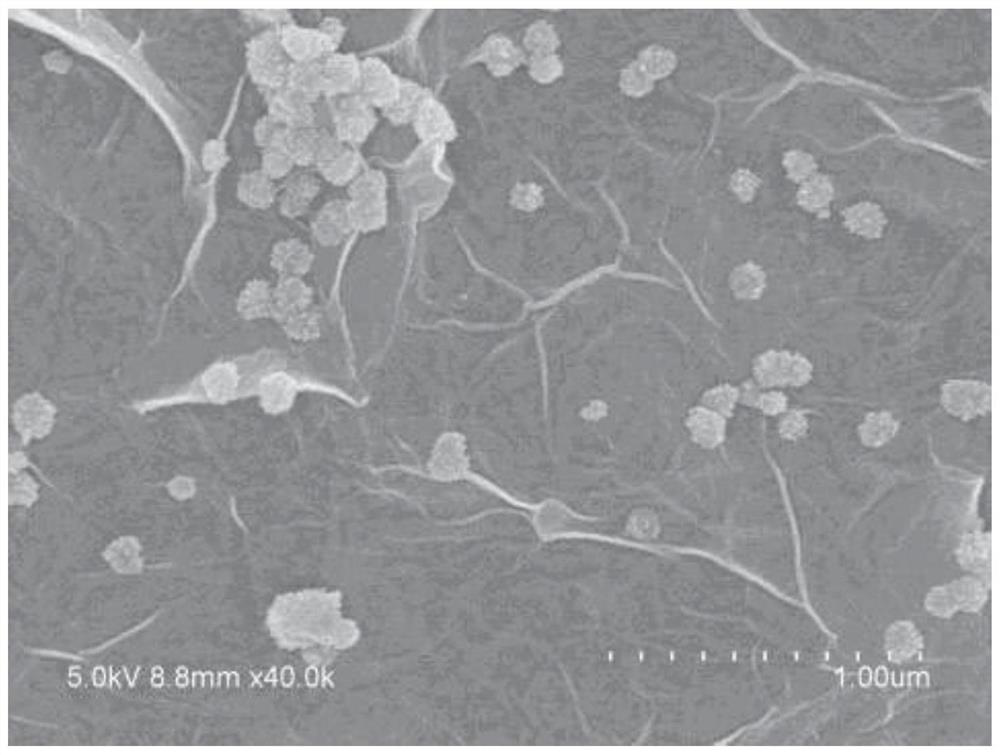 Cyclodextrin nanocluster modified graphene membrane material and its preparation method for removing bisphenol A pollutants in water