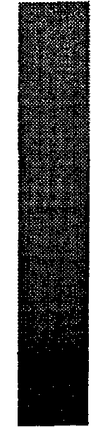 Scale track configuration for absolute optical encoder