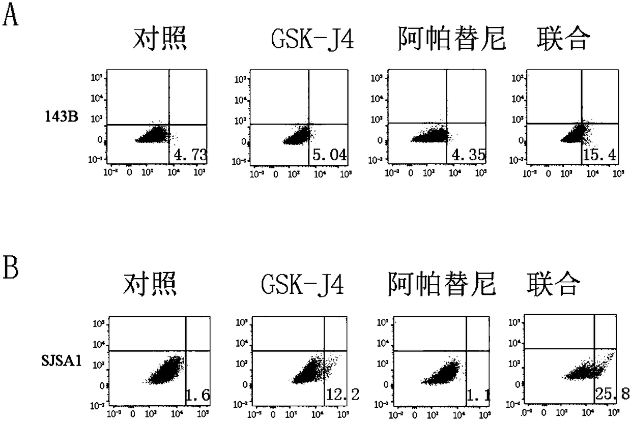 Pharmaceutical composition with synergistic anti-osteosarcoma effect and application thereof