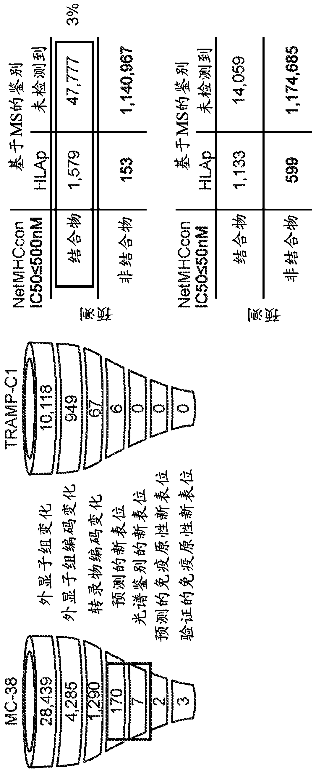 Neoantigen identification using hotspots