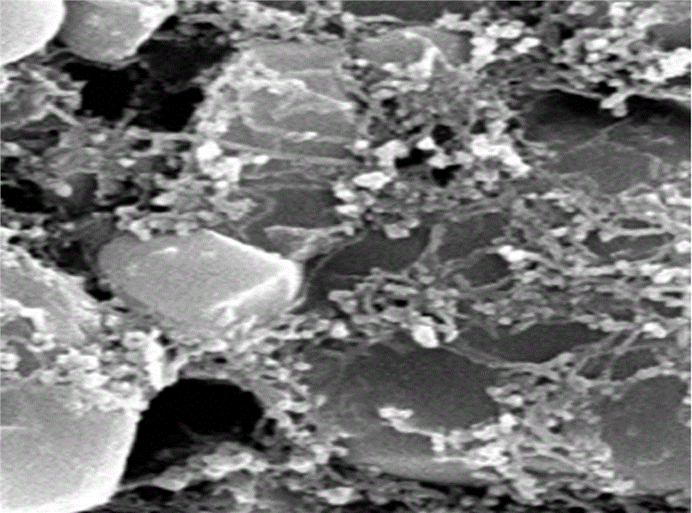 Carbon nanotube paste for lithium battery and preparation method for carbon nanotube paste