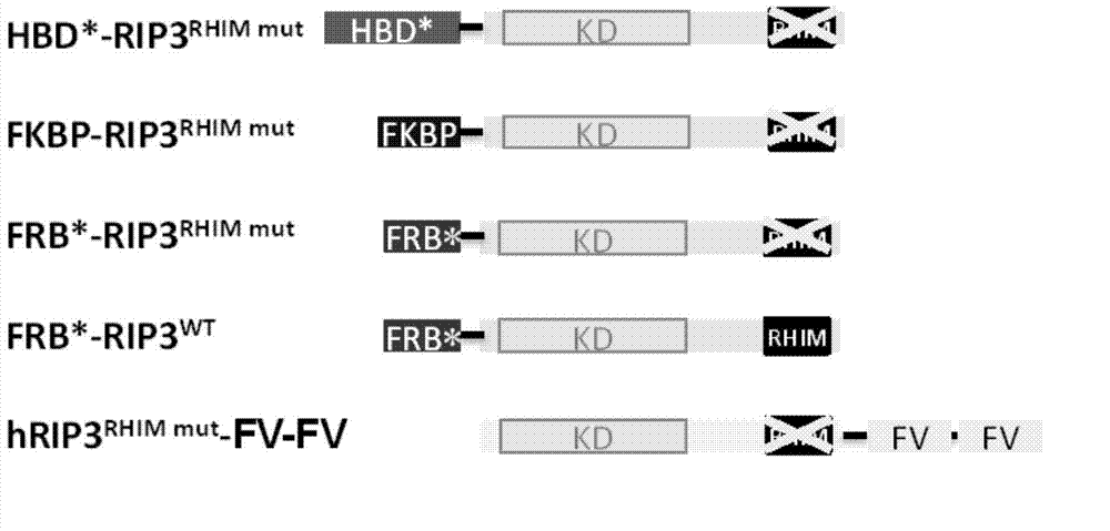 Method for inducing programmed cell necrosis artificially