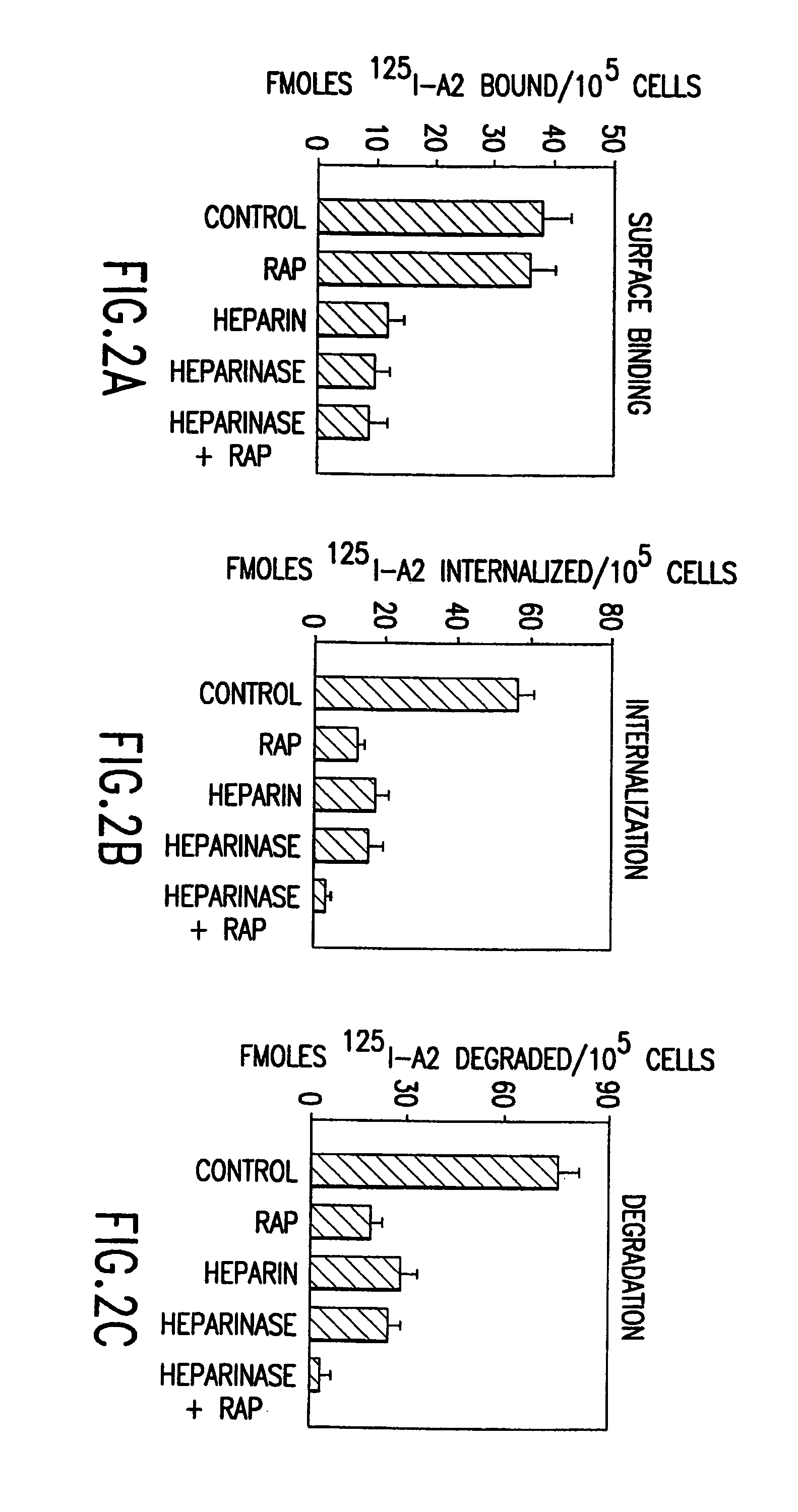 Factor VIII compositions and methods