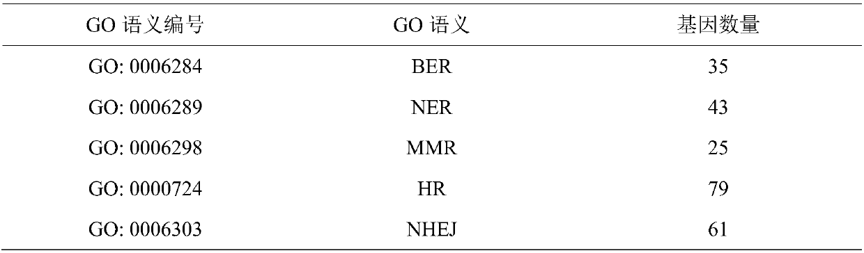 Method for screening regulation new gene participating in biological process