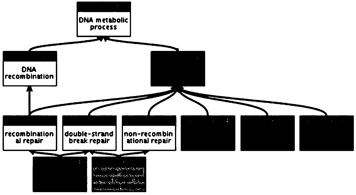 Method for screening regulation new gene participating in biological process