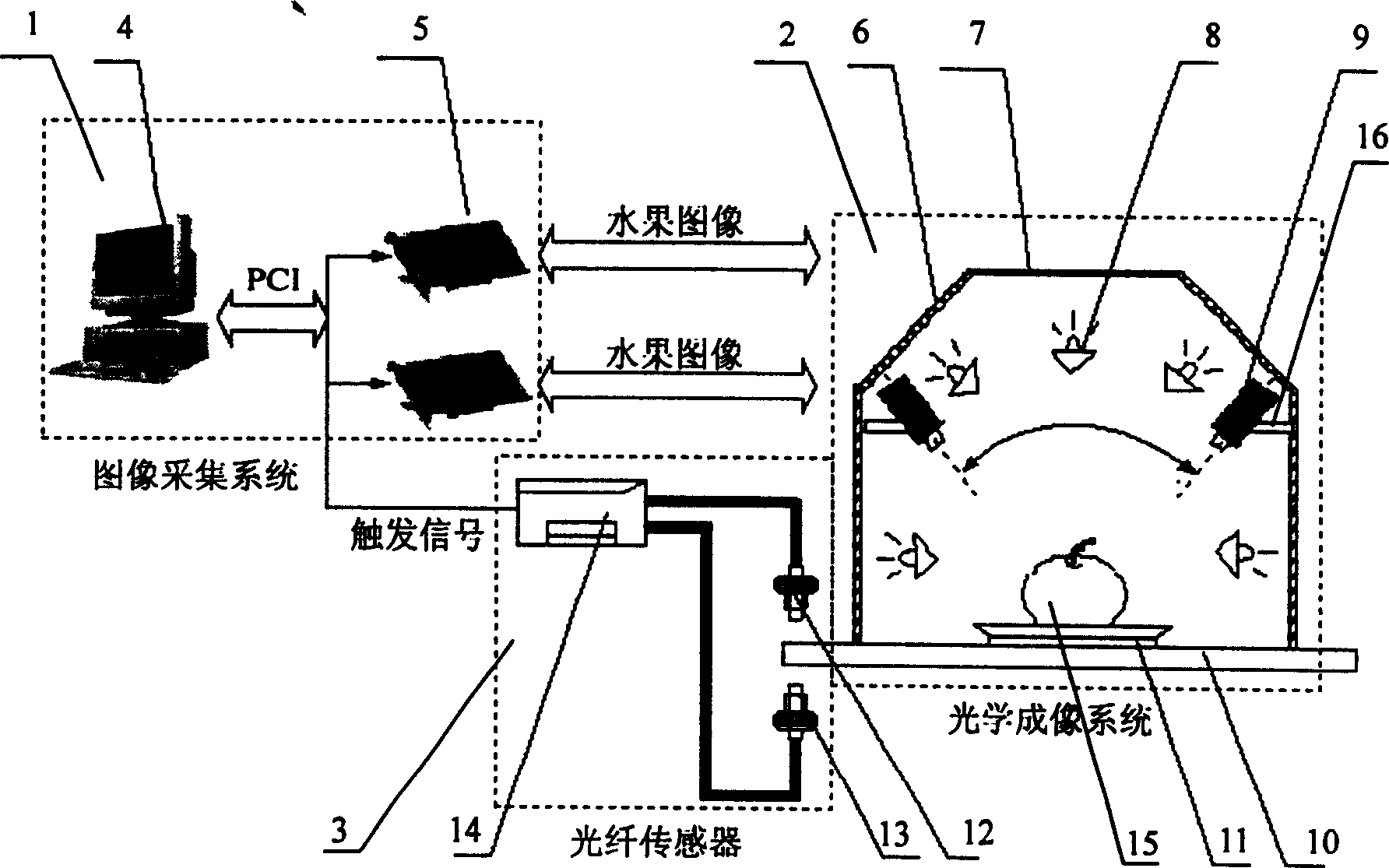 System of recognizing quality of amphisarca in high speed based on machine vision