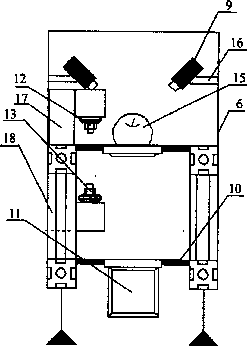 System of recognizing quality of amphisarca in high speed based on machine vision