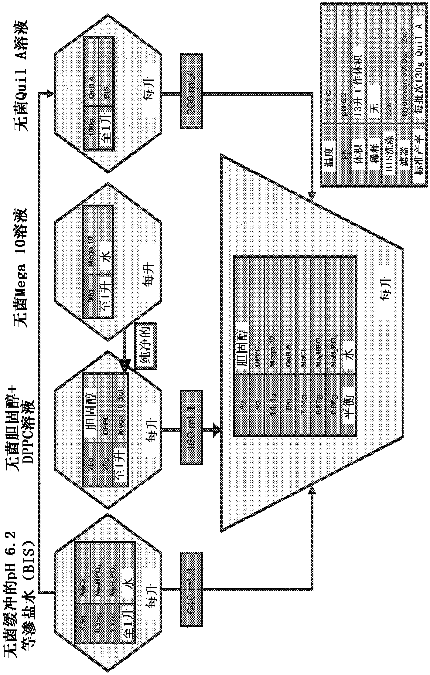 Hendra and nipah virus g glycoprotein immunogenic compositions