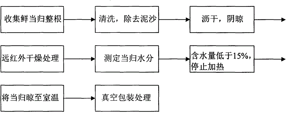 Method for rapidly drying fresh whole angelica roots