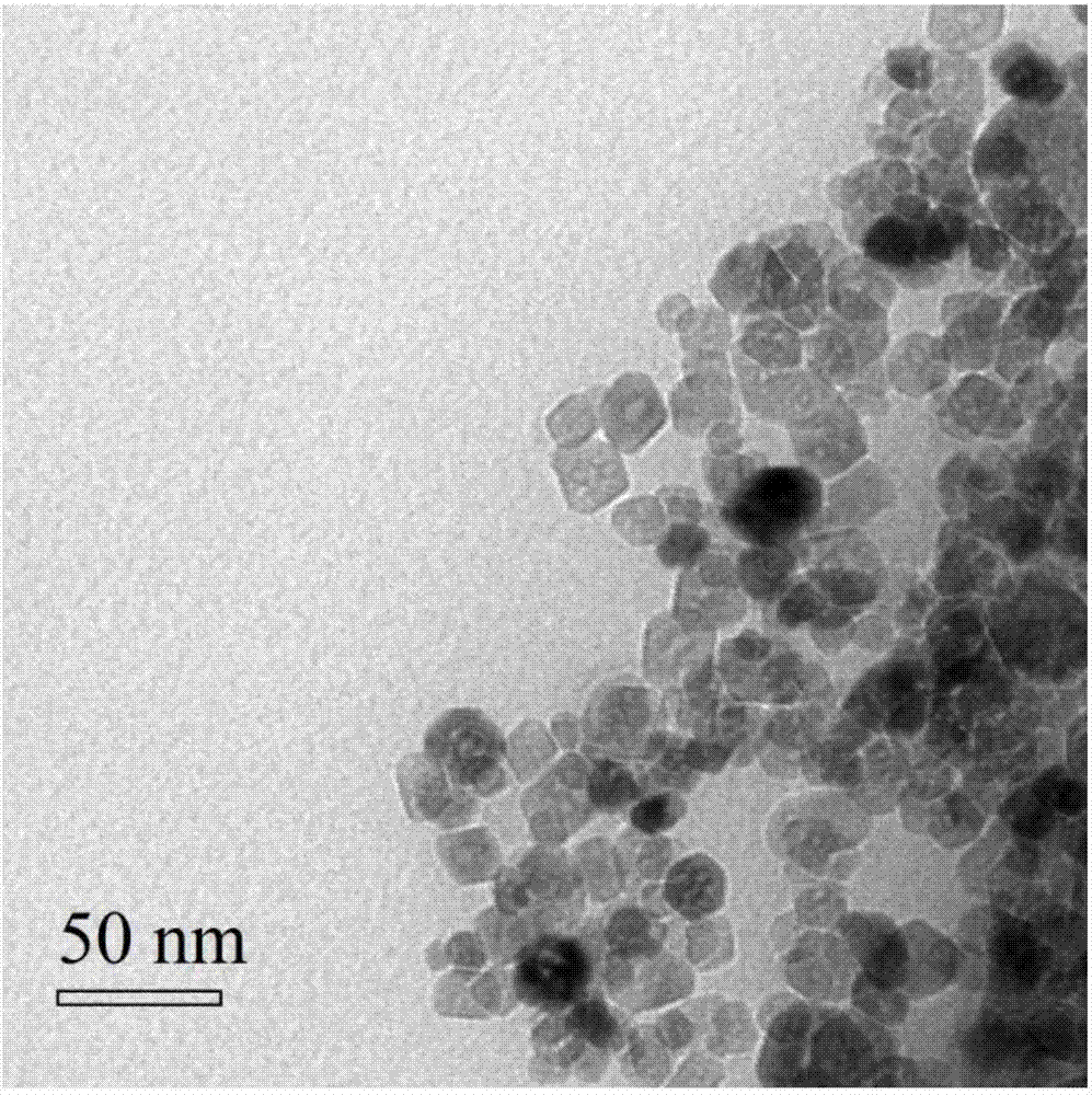 Amino hyperbranched chlorogenic acid molecularly-imprinted magnetic nanosphere as well as preparation method and application thereof