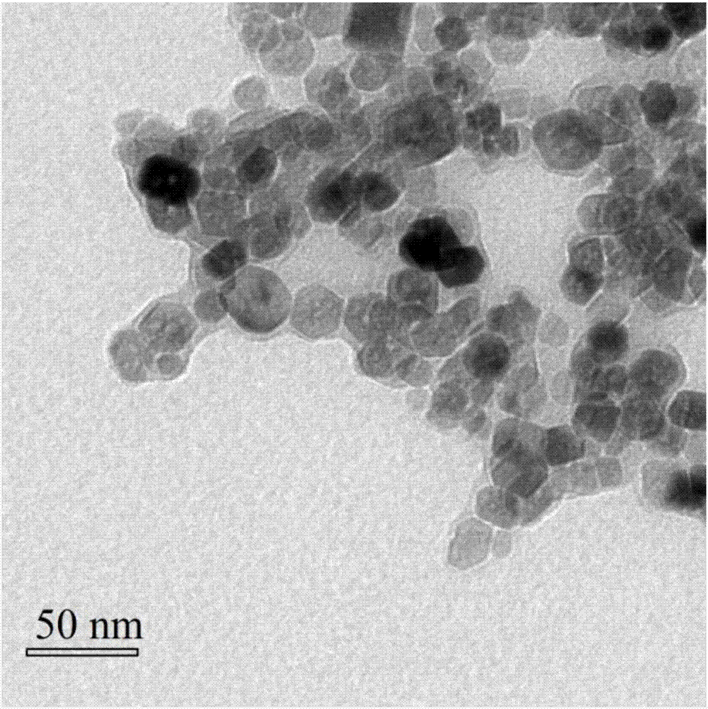 Amino hyperbranched chlorogenic acid molecularly-imprinted magnetic nanosphere as well as preparation method and application thereof