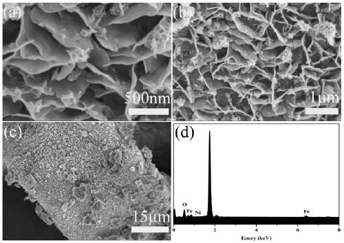 Oxygen evolution catalyst, preparation method thereof and anode for water electrolysis