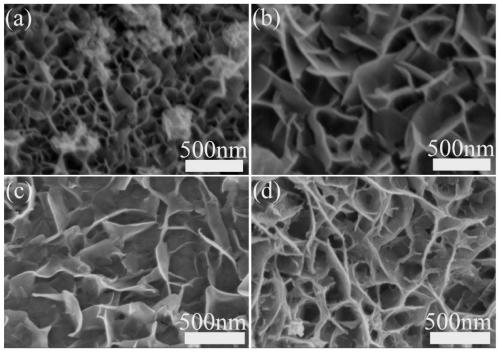 Oxygen evolution catalyst, preparation method thereof and anode for water electrolysis