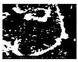 Preparation method of high-capacity silicon-carbon composite negative electrode material with core-shell structure for lithium-ion battery