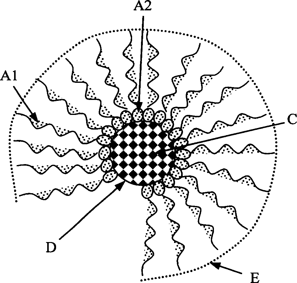 Hydrophobic nano particles and process for preparing dispersion liquid thereof