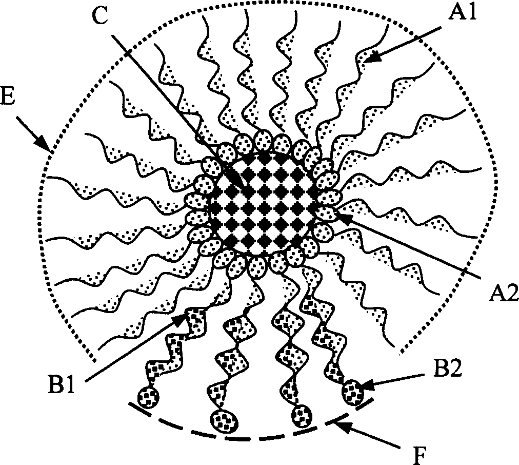 Hydrophobic nano particles and process for preparing dispersion liquid thereof