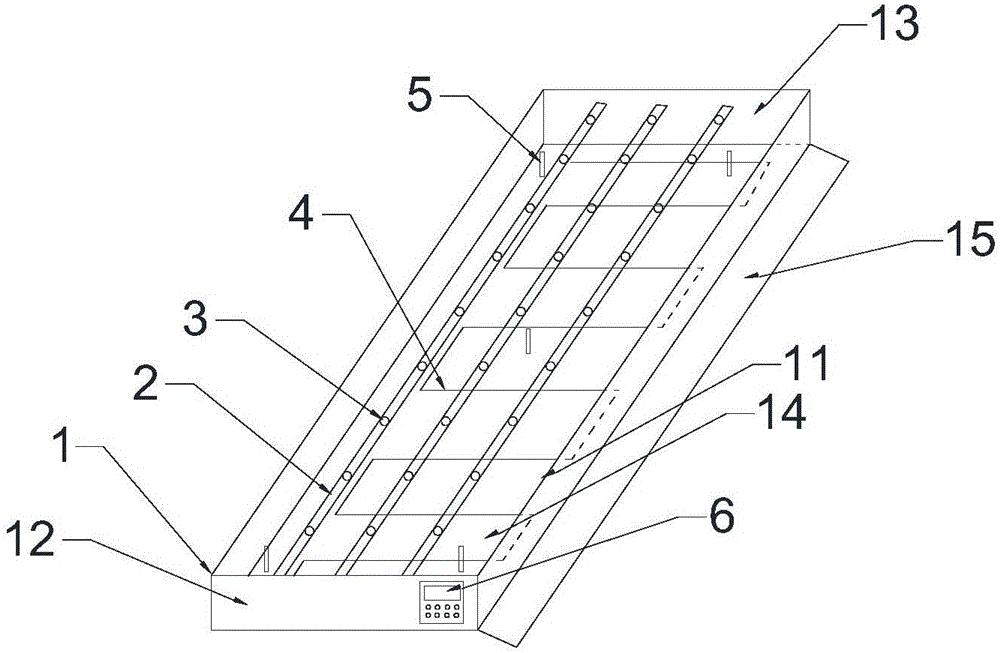 Rapid breeding method of Euryodendron excelsum cultivation seedlings