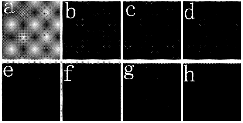 Cell potassium electrode property detection method based on Nernst electric potential fluorochrome